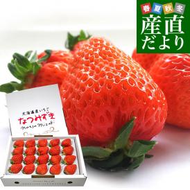 北海道より産地直送 高級いちご なつみずき　約300g（20粒から24粒）化粧箱入り イチゴ 苺 夏イチゴ