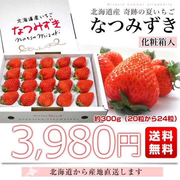 北海道より産地直送 高級いちご なつみずき　約300g（20粒から24粒）化粧箱入り イチゴ 苺 夏イチゴ03
