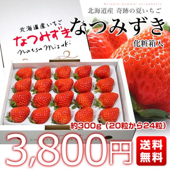 北海道より産地直送 高級いちご なつみずき　約300g（20粒から24粒）化粧箱入り イチゴ 苺 夏イチゴ03