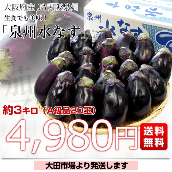 大阪府産 JA大阪泉州 泉州水なす A級品20玉 送料無料 なす 茄子 ナス 市場発送03