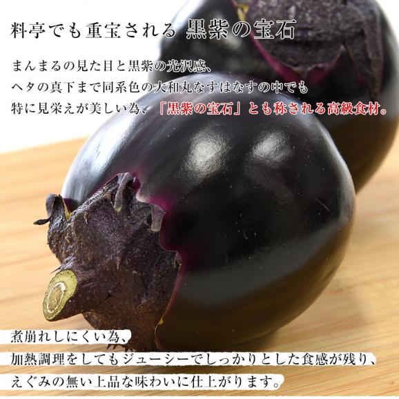 奈良県産　JAならけん　大和丸なす　約2キロ　秀品9から11玉　送料無料　まるなす　茄子　ナス　市場発送04