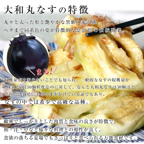 奈良県産　JAならけん　大和丸なす　約2キロ　秀品9から11玉　送料無料　まるなす　茄子　ナス　市場発送06