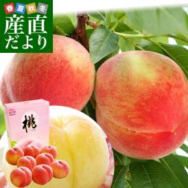 和歌山県より産地直送 JA紀の里 紀の里の桃 嶺鳳＆なつっこ 赤秀品 1.8キロ (6玉から8玉) 送料無料 桃 もも
