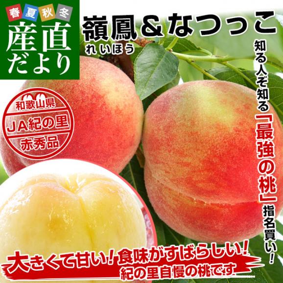 和歌山県より産地直送 JA紀の里 紀の里の桃 嶺鳳＆なつっこ 赤秀品 1.8キロ (6玉から8玉) 送料無料 桃 もも02