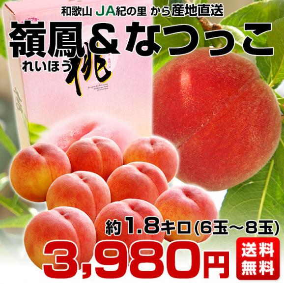 和歌山県より産地直送 JA紀の里 紀の里の桃 嶺鳳＆なつっこ 赤秀品 1.8キロ (6玉から8玉) 送料無料 桃 もも03