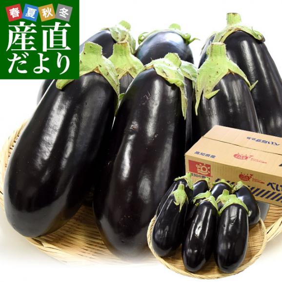 高知県産　JAグループ高知　米なす　A級品9玉　約2.5キロ　送料無料　べいなす　茄子　ナス　市場発送01