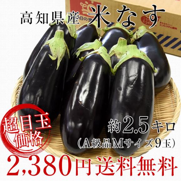 高知県産　JAグループ高知　米なす　A級品9玉　約2.5キロ　送料無料　べいなす　茄子　ナス　市場発送03