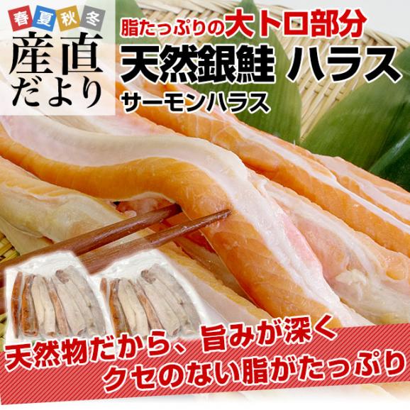 送料無料　天然銀鮭のハラス（希少な腹身の部位）　ロシア産　1キロ×2P02