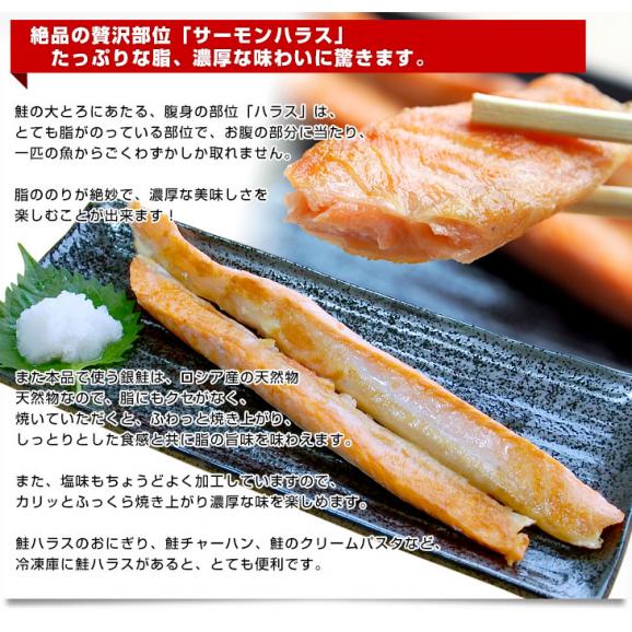 送料無料　天然銀鮭のハラス（希少な腹身の部位）　ロシア産　1キロ×2P04