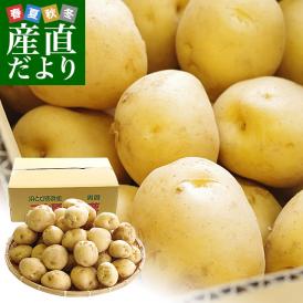 静岡県産 JAとぴあ浜松 三方原馬鈴薯（男爵） 2ＬからLサイズ 5キロ ばれいしょ じゃがいも ジャガイモ 送料無料