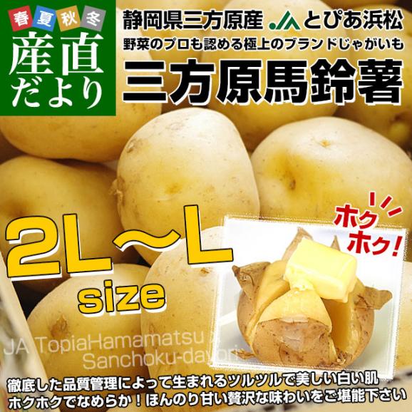静岡県産 JAとぴあ浜松 三方原馬鈴薯（男爵） 2ＬからLサイズ 5キロ ばれいしょ じゃがいも ジャガイモ 送料無料02