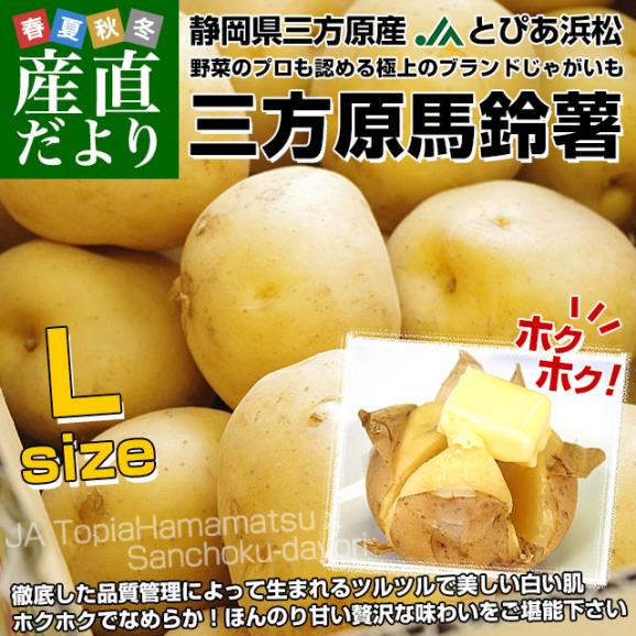 静岡県産 JAとぴあ浜松 三方原馬鈴薯（男爵） Lサイズ 5キロ ばれいしょ じゃがいも ジャガイモ 送料無料02