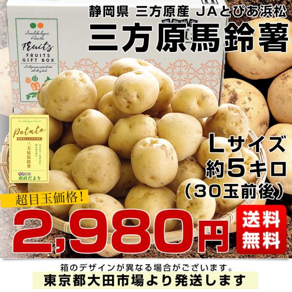 静岡県産 JAとぴあ浜松 三方原馬鈴薯（男爵） Lサイズ 5キロ ばれいしょ じゃがいも ジャガイモ 送料無料03