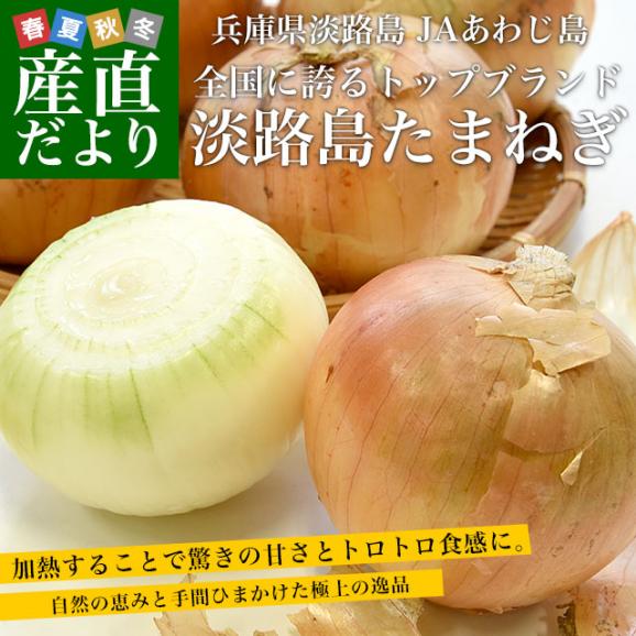 淡路島産　JAあわじ島　淡路島たまねぎ　秀品　Lサイズ　３キロ（10玉前後）　送料無料　玉ねぎ　タマネギ　玉葱　玉ネギ　兵庫　あわじしま　大田市場発送品02