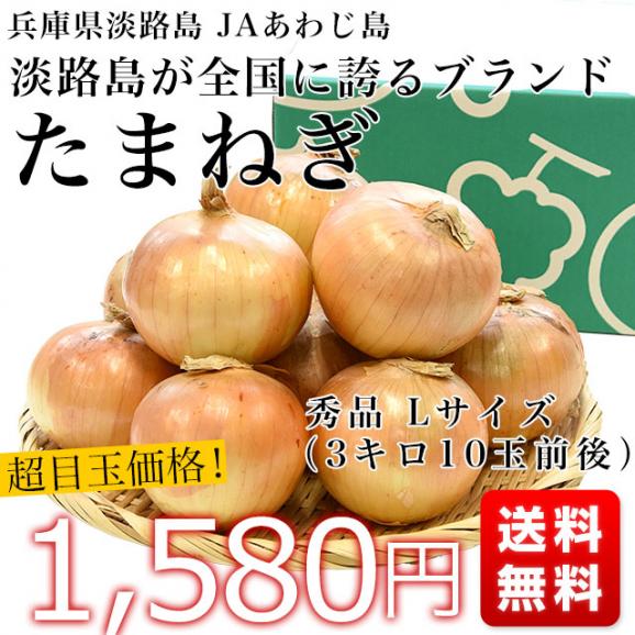 淡路島産　JAあわじ島　淡路島たまねぎ　秀品　Lサイズ　３キロ（10玉前後）　送料無料　玉ねぎ　タマネギ　玉葱　玉ネギ　兵庫　あわじしま　大田市場発送品03