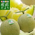 茨城県産　JA茨城旭村 アールスメロン 糖度13度以上　約3キロ （大2玉） 送料無料 めろん