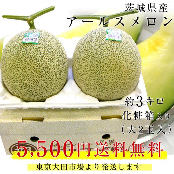 茨城県産　JA茨城旭村 アールスメロン 糖度13度以上　約3キロ （大2玉） 送料無料 めろん ギフト 夏ギフト お中元 御中元03