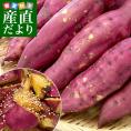 高知県産 JA高知県 土佐紅 A級品MからLサイズ2.5キロ 9本前後 送料無料　とさべに さつまいも サツマイモ 薩摩芋 新芋 市場発送