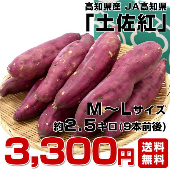 高知県産　JA高知県　土佐紅　A級品MからLサイズ2.5キロ　9本前後　送料無料　とさべに　さつまいも　サツマイモ　薩摩芋　新芋　市場発送03