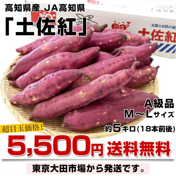 高知県産 JA高知県 土佐紅 A級品MからLサイズ5キロ 18本前後 送料無料　とさべに さつまいも サツマイモ 薩摩芋 新芋 市場発送03