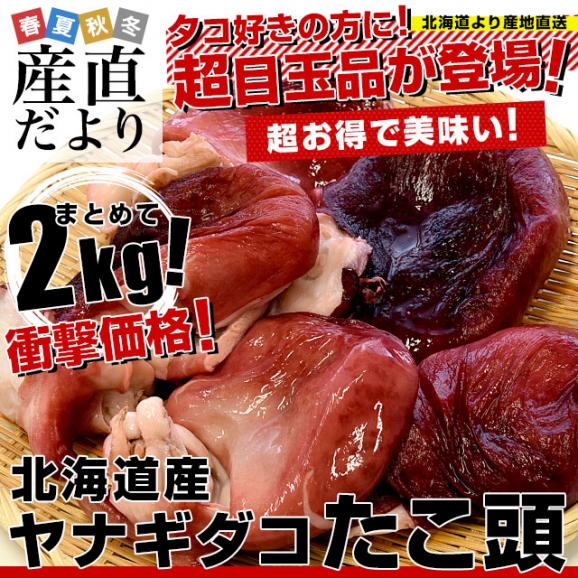 北海道産　ヤナギダコ　たこ頭2キロ（6玉前後）形不揃いのB品　産地直送　送料無料 柳タコ　タコ　タコの頭02