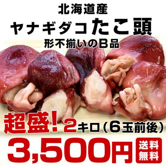 北海道産　ヤナギダコ　たこ頭2キロ（6玉前後）形不揃いのB品　産地直送　送料無料 柳タコ　タコ　タコの頭03