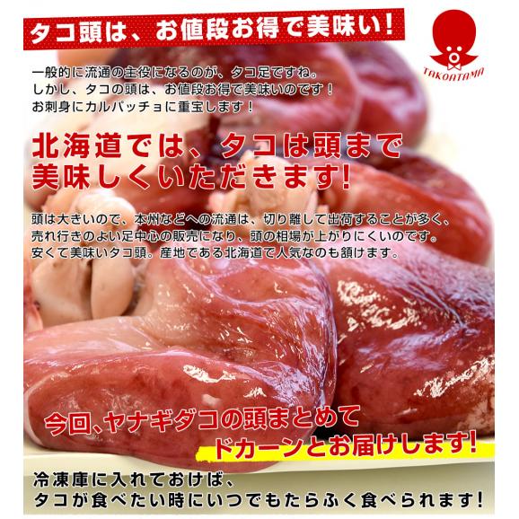 北海道産　ヤナギダコ　たこ頭2キロ（6玉前後）形不揃いのB品　産地直送　送料無料 柳タコ　タコ　タコの頭04