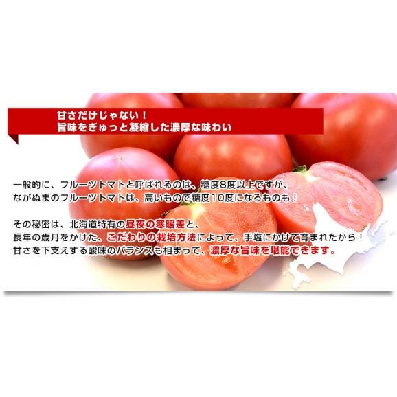 北海道産　JAながぬま　フルーツトマト　MまたはLサイズ　約900g　（9玉～12玉入り）　送料無料　とまと　高糖度　市場発送04