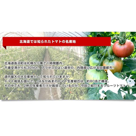 北海道産　JAながぬま　フルーツトマト　MまたはLサイズ　約900g　（9玉～12玉入り）　送料無料　とまと　高糖度　市場発送05