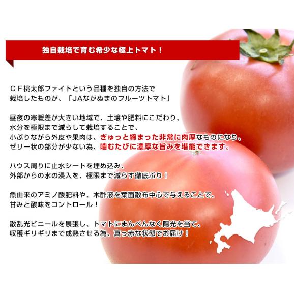 北海道産　JAながぬま　フルーツトマト　MまたはLサイズ　約900g　（9玉～12玉入り）　送料無料　とまと　高糖度　市場発送06