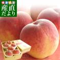山梨県より産地直送 JA南アルプス市 南アルプスの桃 光甘度(こうかんど) 青秀品　2キロ（5から6玉入り）送料無料 もも　モモ