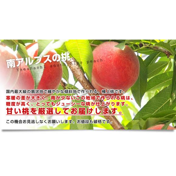 山梨県より産地直送 JA南アルプス市 南アルプスの桃 光甘度(こうかんど) 青秀品　2キロ（5から6玉入り）送料無料 もも　モモ04