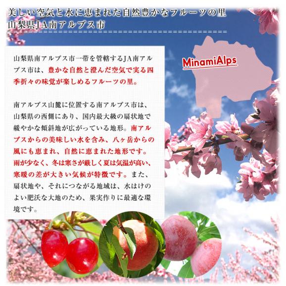 山梨県より産地直送 JA南アルプス市 南アルプスの桃 光甘度(こうかんど) 青秀品　2キロ（5から6玉入り）送料無料 もも　モモ05