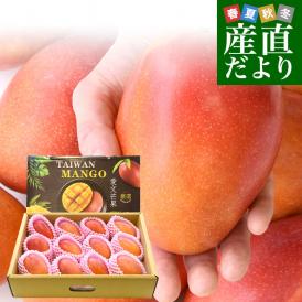 台湾産 台湾マンゴー（品種：愛文 アーウイン）大玉厳選2Lから3L特秀品約4.8キロ（12玉から14玉入） 市場発送