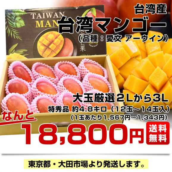 台湾産 台湾マンゴー（品種：愛文 アーウイン）大玉厳選2Lから3L特秀品約4.8キロ（12玉から14玉入） 市場発送03
