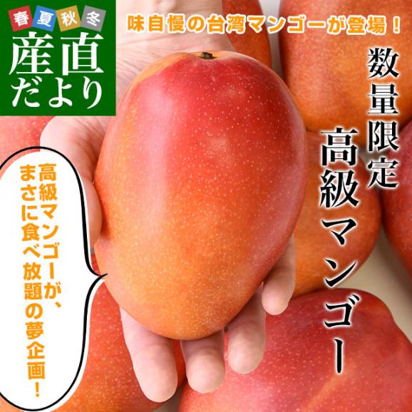 台湾産 台湾マンゴー（品種：愛文 アーウイン）大玉厳選2Lから3L 約1キロ（3玉入） 市場発送02