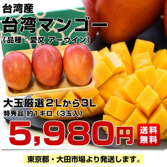 台湾産 台湾マンゴー（品種：愛文 アーウイン）大玉厳選2Lから3L 約1キロ（3玉入） 市場発送03