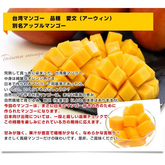 台湾産 台湾マンゴー（品種：愛文 アーウイン）大玉厳選2Lから3L 約1キロ（3玉入） 市場発送05