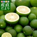 各県特産ブランド 香酸柑橘類セット（徳島県産すだち、大分かぼす、高知県産青ゆず）合計約1.2キロ　送料無料　市場発送