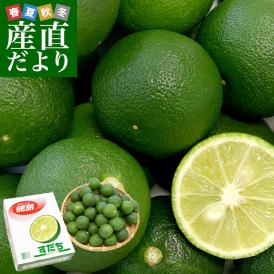 徳島県産 JA全農とくしま すだち 秀品 2Lサイズ 約1キロ 40個前後 送料無料 スダチ　香酸柑橘 薬味 市場発送