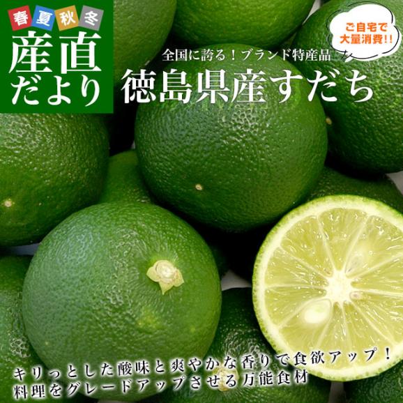 徳島県産 JA全農とくしま すだち 秀品 2Lサイズ 約1キロ 40個前後 送料無料 スダチ　香酸柑橘 薬味 市場発送02