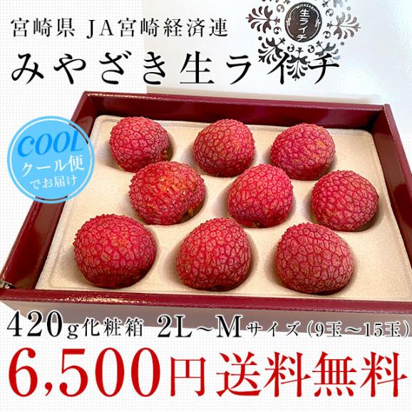 宮崎県産　JA宮崎経済連　みやざき生ライチ　420g化粧箱　2LからMサイズ（9玉から15玉）クール便 国産ライチ 宮崎ライチ らいち03