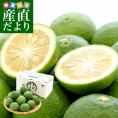 大分県産　JA全農おおいた　大分かぼす　秀品Lサイズ1キロ　12個前後　送料無料　カボス　香母酢　香酸柑橘　薬味　市場発送