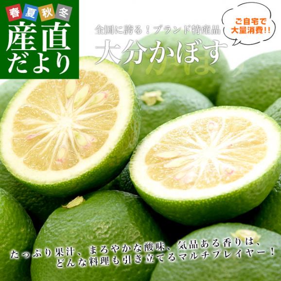 大分県産　JA全農おおいた　大分かぼす　秀品Lサイズ1キロ　12個前後　送料無料　カボス　香母酢　香酸柑橘　薬味　市場発送02