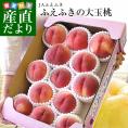 山梨県産 JAふえふき 笛吹の大玉桃 上位等級：青秀品 原箱5キロ（13玉から16玉）送料無料 もも