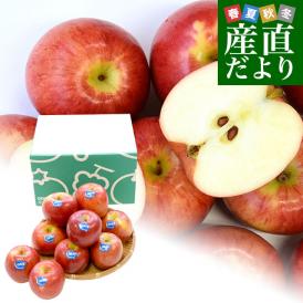 ニュージーランド産　JAZZりんご(品種:サイフレッシュ)約2キロ(11玉から15玉入)リンゴ　林檎　送料無料　クール便