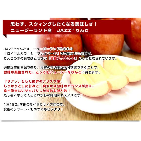 ニュージーランド産　JAZZりんご(品種:サイフレッシュ)約2キロ(11玉から15玉入)リンゴ　林檎　送料無料　クール便05