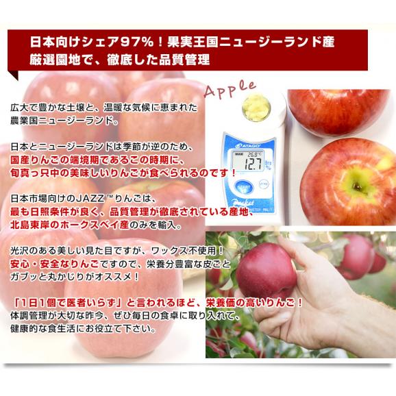 ニュージーランド産　JAZZりんご(品種:サイフレッシュ)約2キロ(11玉から15玉入)リンゴ　林檎　送料無料　クール便06