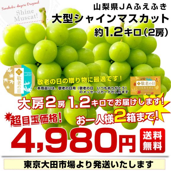 【遅れてごめんね敬老の日】 山梨県産　JAふえふき 大型シャインマスカット1.2キロ（2房）送料無料 ぶどう ブドウ 種なしぶどう  クール便発送03