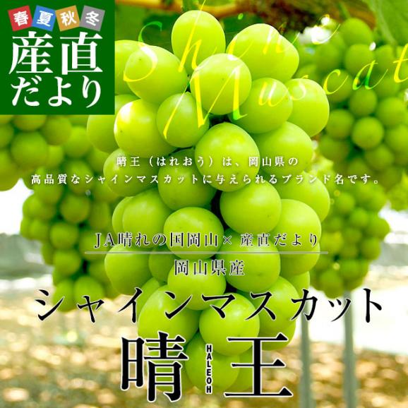 【御中元 ギフト】岡山県産 JA晴れの国岡山 シャインマスカット 晴王 青秀 約1.2キロ(600g×2房) 葡萄　ぶどう ブドウ 送料無料 クール便 お中元 ギフト02